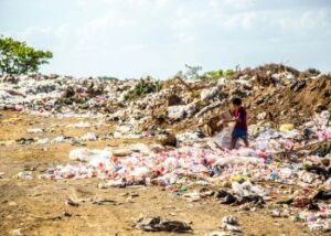 Numa corrida contra o tempo, a ciência pesquisa alternativas biodegradáveis ao plástico produzido por petroquímicos, ou ainda processos que consigam recicla-lo em larga escala para reduzir os impactos ambientais na natureza e nos seres humanos.